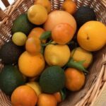 Seasonsbestbox10lbs-e1660280156259